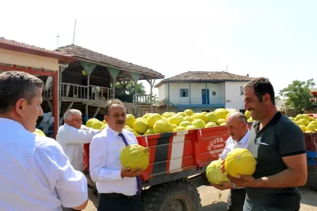 Son Dakika | Sungurlu'nun 10 dilim kavunu marka oluyor Son Dakika | Sungurlu'nun 10 dilim kavunu marka oluyor