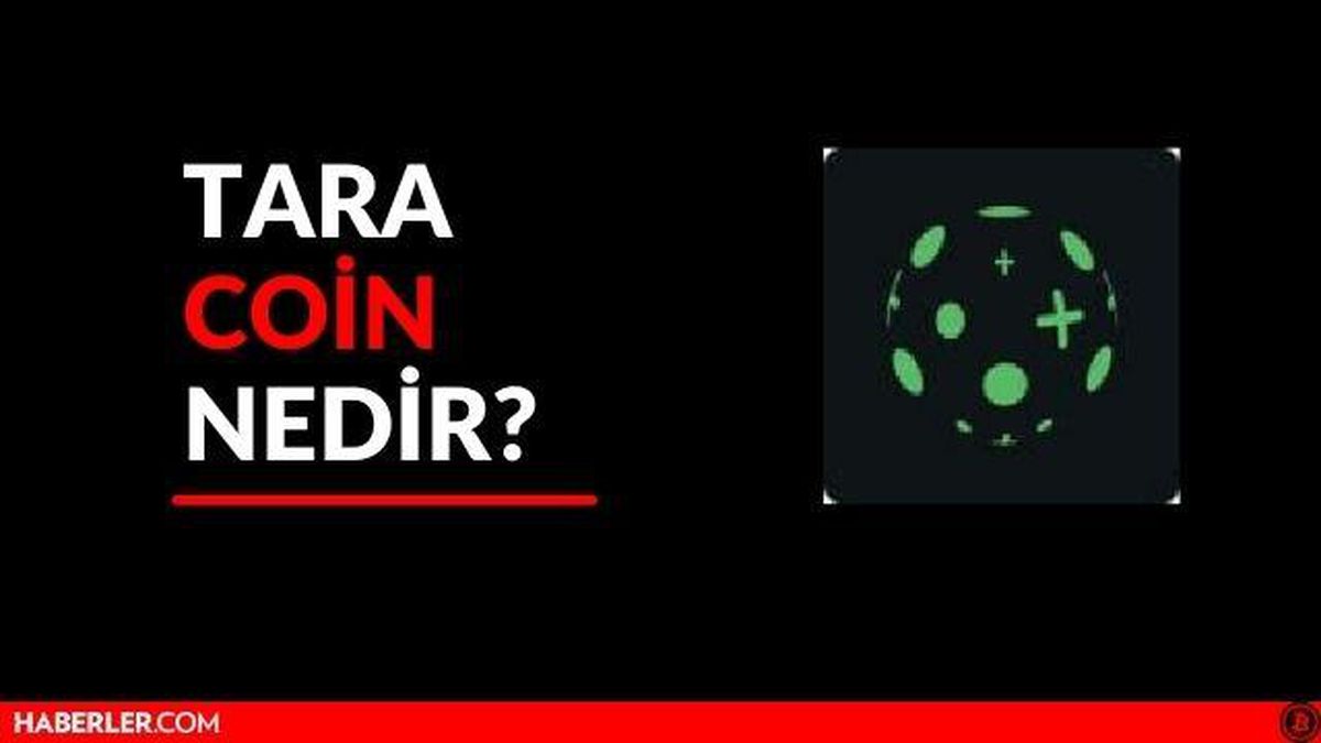 TARA Coin nedir? Güncel Taraxa (TARA) Coin yorum ve grafiği