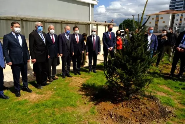 (HATAY)AB Türkiye Delegasyonu fidan dikti (HATAY)AB Türkiye Delegasyonu fidan dikti