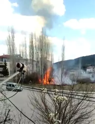 Son dakika! Amasya'da ağaçlık alandaki yangında 5 yavru köpek ve bir kaplumbağa telef oldu Son dakika! Amasya'da ağaçlık alandaki yangında 5 yavru köpek ve bir kaplumbağa telef oldu