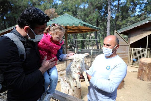Antalya Hayvanat Bahçesi'nde yeni yavrular