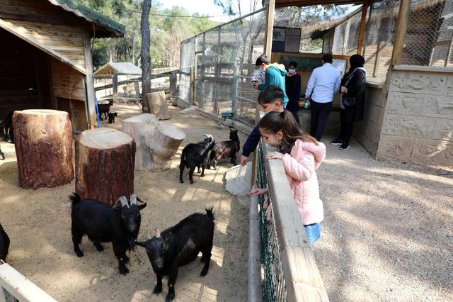 Antalya Hayvanat Bahçesi'nde yeni yavrular