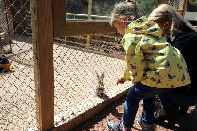 Antalya Hayvanat Bahçesi'nde yeni yavrular