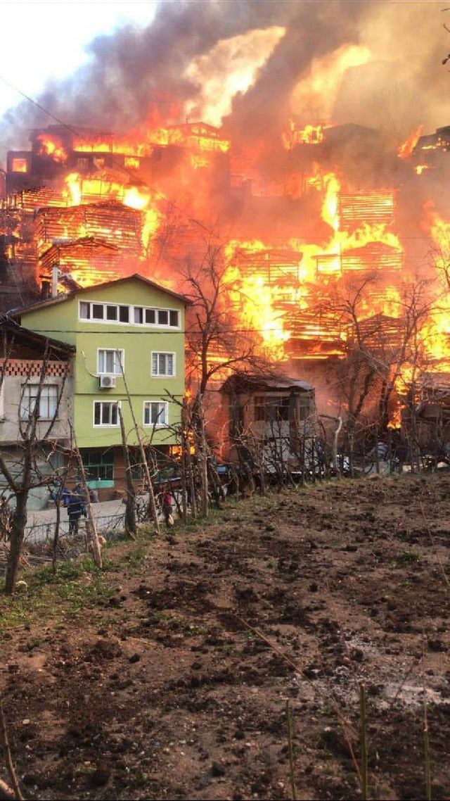 Son dakika haberi! Artvin'de yanan köyde yangının izleri silinmeye çalışılıyor