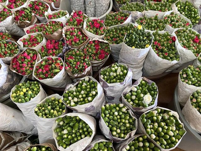 Cebinde getirdiği hediye tohumla Antalya'da üretime başladı, taleplere yetişemiyor