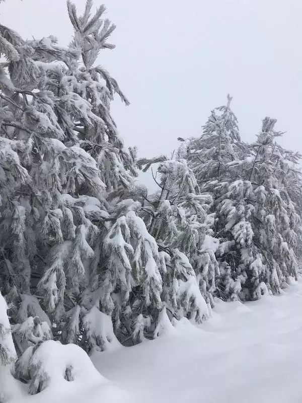 Demirci'de ulaşıma kar engeli Demirci'de ulaşıma kar engeli