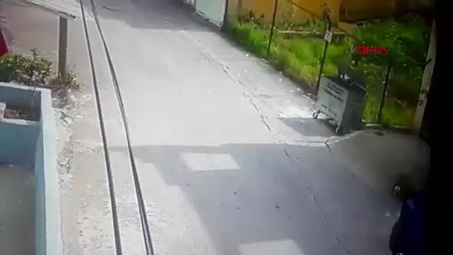 Sokak köpeğinin kediye saldırısı güvenlik kamerasında Sokak köpeğinin kediye saldırısı güvenlik kamerasında