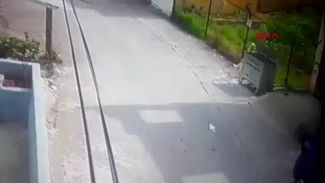 Sokak köpeğinin kediye saldırısı güvenlik kamerasında Sokak köpeğinin kediye saldırısı güvenlik kamerasında