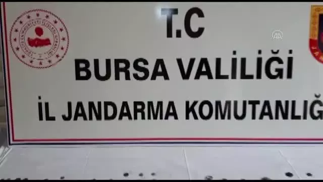 Helenistik ve Orta Çağ dönemlerine ait olduğu değerlendirilen 191 tarihi eser ele geçirildi Helenistik ve Orta Çağ dönemlerine ait olduğu değerlendirilen 191 tarihi eser ele geçirildi