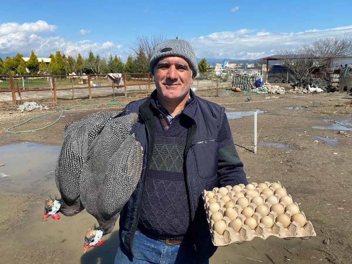 İran tavuğundan 'paskalya yumurtası' üretiyor! Tanesi 7 liradan kapış kapış satılıyor