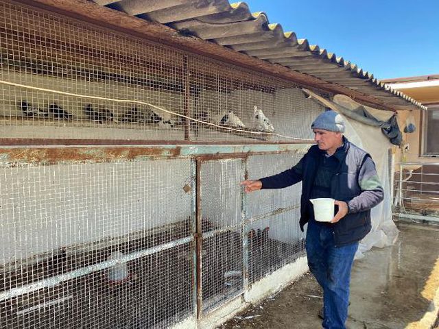İran tavuğundan 'paskalya yumurtası' üretiyor! Tanesi 7 liradan kapış kapış satılıyor