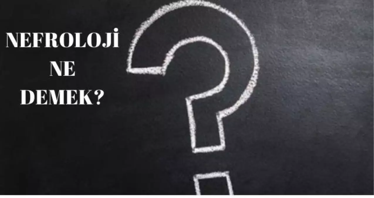 Nefroloji ne demek?