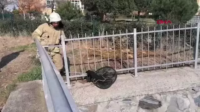SİLİVRİ'DE DEREYE DÜŞEN KEDİYİ İTFAİYE KURTARDI SİLİVRİ'DE DEREYE DÜŞEN KEDİYİ İTFAİYE KURTARDI