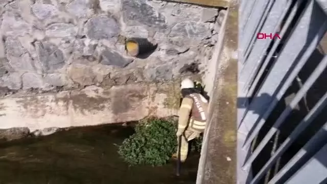 SİLİVRİ'DE DEREYE DÜŞEN KEDİYİ İTFAİYE KURTARDI SİLİVRİ'DE DEREYE DÜŞEN KEDİYİ İTFAİYE KURTARDI