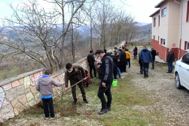 Türkeli'de Orman Haftası etkinlikleri Türkeli'de Orman Haftası etkinlikleri