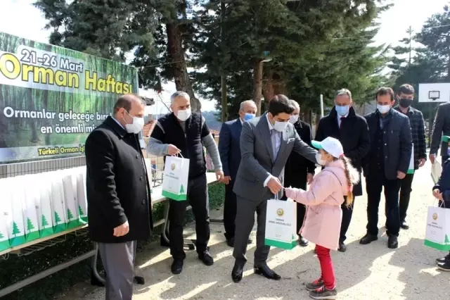 Türkeli'de Orman Haftası etkinlikleri Türkeli'de Orman Haftası etkinlikleri