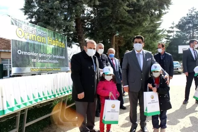 Türkeli'de Orman Haftası etkinlikleri Türkeli'de Orman Haftası etkinlikleri