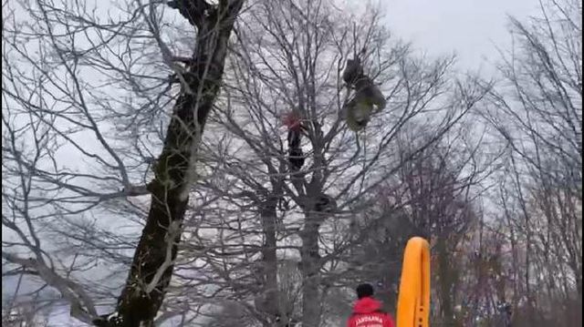 yamac parasutu yaparken agacta asili kaldi o 5 14006928 o