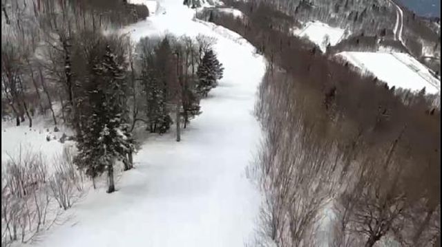 yamac parasutu yaparken agacta asili kaldi o 8 14006928 o