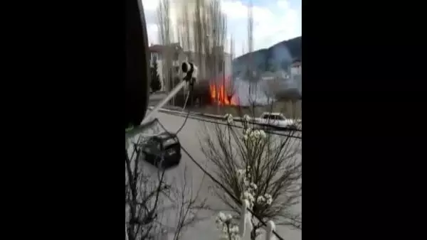 AMASYA 6 hayvanın telef olduğu yangında, yanan kaplumbağaya yanık kremi sürdüler AMASYA 6 hayvanın telef olduğu yangında, yanan kaplumbağaya yanık kremi sürdüler