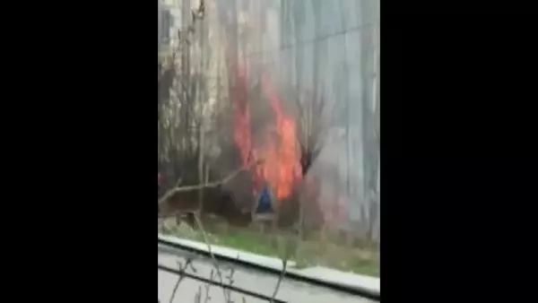 AMASYA 6 hayvanın telef olduğu yangında, yanan kaplumbağaya yanık kremi sürdüler AMASYA 6 hayvanın telef olduğu yangında, yanan kaplumbağaya yanık kremi sürdüler