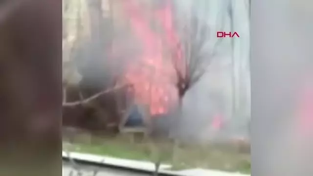 AMASYA 6 hayvanın telef olduğu yangında, yanan kaplumbağaya yanık kremi sürdüler AMASYA 6 hayvanın telef olduğu yangında, yanan kaplumbağaya yanık kremi sürdüler