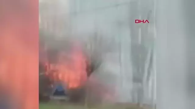 AMASYA 6 hayvanın telef olduğu yangında, yanan kaplumbağaya yanık kremi sürdüler AMASYA 6 hayvanın telef olduğu yangında, yanan kaplumbağaya yanık kremi sürdüler