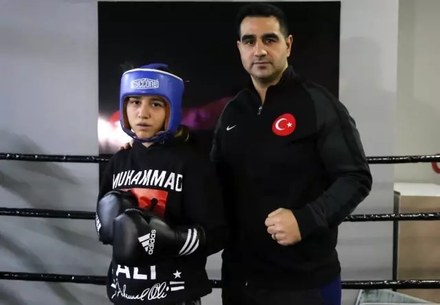 Babadan kıza miras; boksörlük Babadan kıza miras; boksörlük