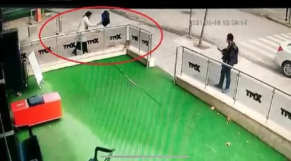 Gebe kediye şiddet uygulayan kadına para cezası Gebe kediye şiddet uygulayan kadına para cezası