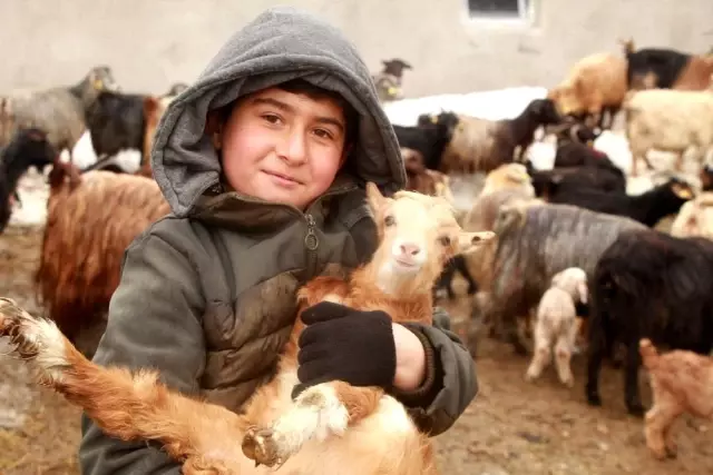 Hayvancılıkla uğraşanlar, kışın zorlu kısmını geride bıraktı Hayvancılıkla uğraşanlar, kışın zorlu kısmını geride bıraktı