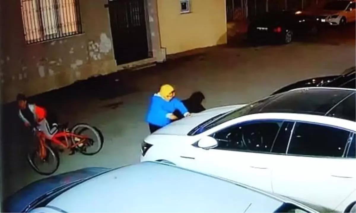 Konya'da 2 çocuk 25 arabayı çizdi