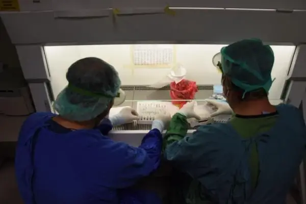 ESKİŞEHİR Mutasyonlu koronavirüs vakaları, 40 dakika tespit ediliyor ESKİŞEHİR Mutasyonlu koronavirüs vakaları, 40 dakika tespit ediliyor