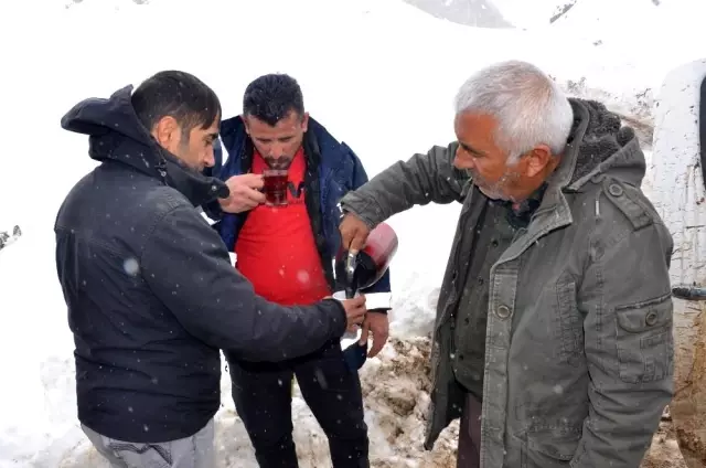 Şırnak'ta mart ayında 1 metre karla mücadele Şırnak'ta mart ayında 1 metre karla mücadele