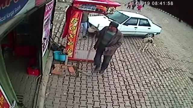 Son dakika haberleri | AFYONKARAHİSAR - Belediye işçilerinin peşlerine takılan köpekleri ekmekle beslemesi kameralara yansıdı Son dakika haberleri | AFYONKARAHİSAR - Belediye işçilerinin peşlerine takılan köpekleri ekmekle beslemesi kameralara yansıdı