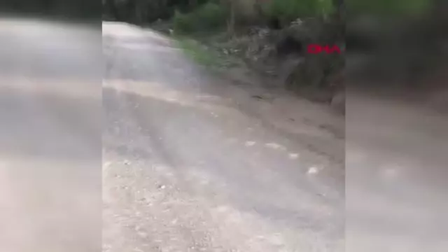 ANTALYA Manavgat'ta ormanda erkek cesedi bulundu ANTALYA Manavgat'ta ormanda erkek cesedi bulundu