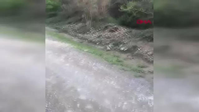 ANTALYA Manavgat'ta ormanda erkek cesedi bulundu ANTALYA Manavgat'ta ormanda erkek cesedi bulundu