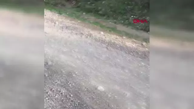 ANTALYA Manavgat'ta ormanda erkek cesedi bulundu ANTALYA Manavgat'ta ormanda erkek cesedi bulundu