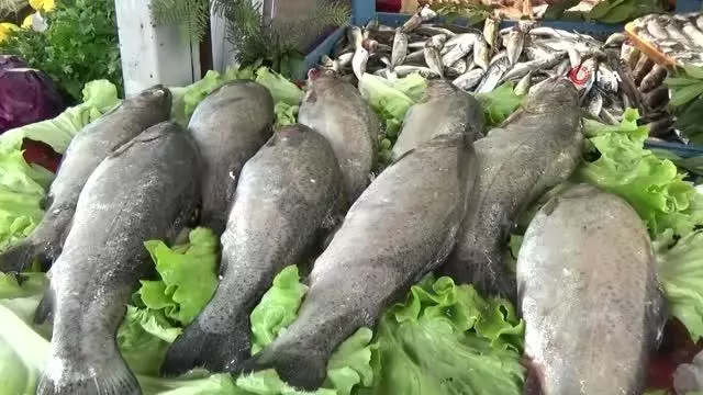 Balıkçılar, sezon kapanmadan balık yemeye davet etti Balıkçılar, sezon kapanmadan balık yemeye davet etti