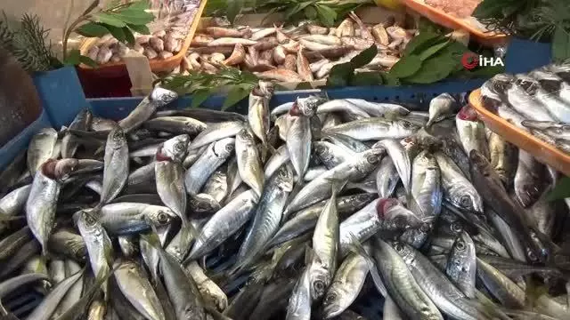 Balıkçılar, sezon kapanmadan balık yemeye davet etti Balıkçılar, sezon kapanmadan balık yemeye davet etti