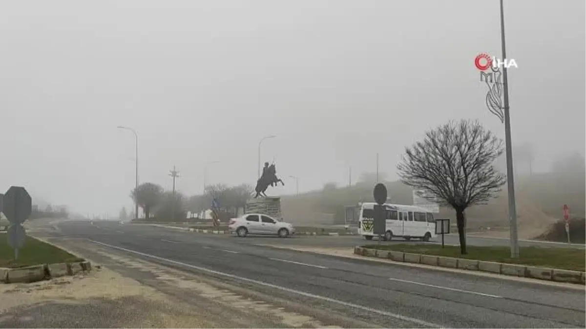 Son dakika haberi... Bilecik'te leyleklerin sis altında göçü görsel şölen sundu