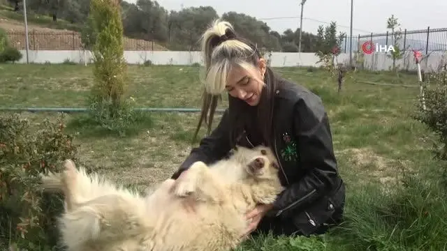 Sessiz canlara adanmış bir hayat Sessiz canlara adanmış bir hayat