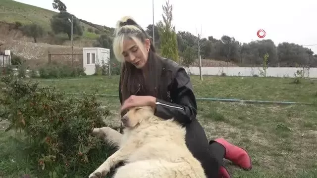Sessiz canlara adanmış bir hayat Sessiz canlara adanmış bir hayat