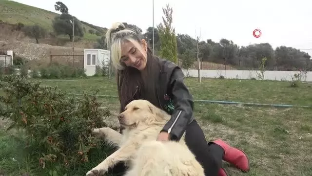 Sessiz canlara adanmış bir hayat Sessiz canlara adanmış bir hayat
