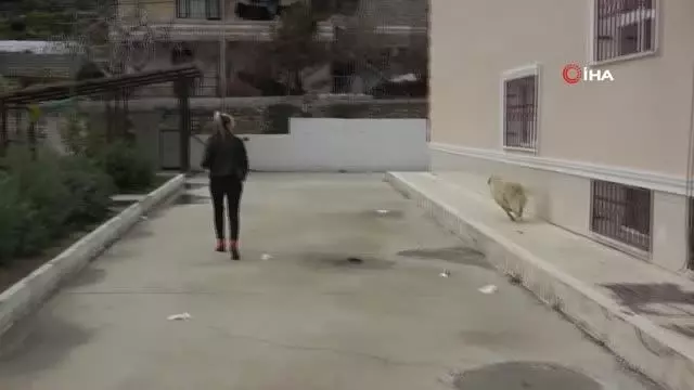 Sessiz canlara adanmış bir hayat Sessiz canlara adanmış bir hayat