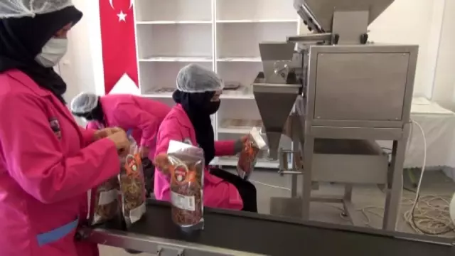 10 kadının kurduğu kooperatif 25 hemcinslerine ekmek kapısı oldu 10 kadının kurduğu kooperatif 25 hemcinslerine ekmek kapısı oldu