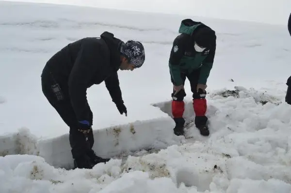AFAD, Ağrı'da eğitim verdiği gönüllülerle çığ tatbikatı yaptı AFAD, Ağrı'da eğitim verdiği gönüllülerle çığ tatbikatı yaptı