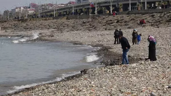 TRABZON Deniz dolgusunda tarım toprağının çökme riski oluşturacağı iddiası