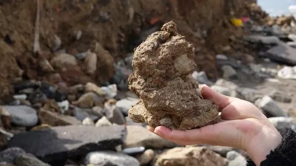 TRABZON Deniz dolgusunda tarım toprağının çökme riski oluşturacağı iddiası