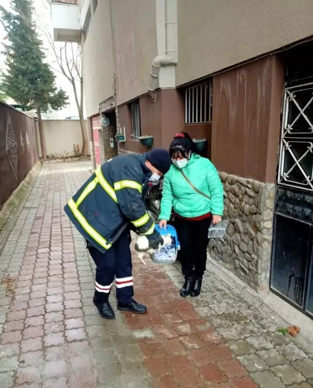 Son dakika haberleri! Kamyonetin altına sıkışan kediyi itfaiye ekibi kurtardı Son dakika haberleri! Kamyonetin altına sıkışan kediyi itfaiye ekibi kurtardı