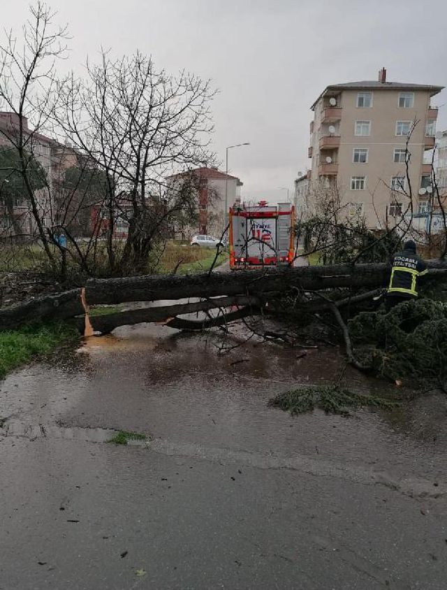 kocaeli de siddetli ruzgar agaci devirdi 2 14012628 o